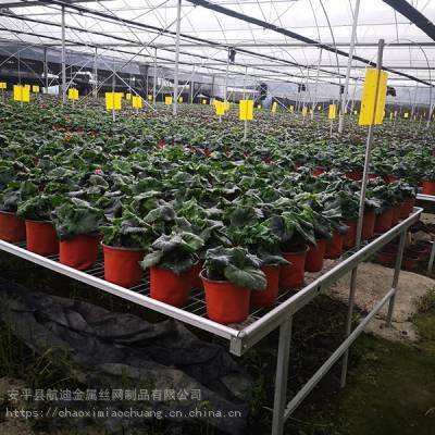 2020北方水稻移動育苗床 金屬制品助力生產(chǎn)量提升